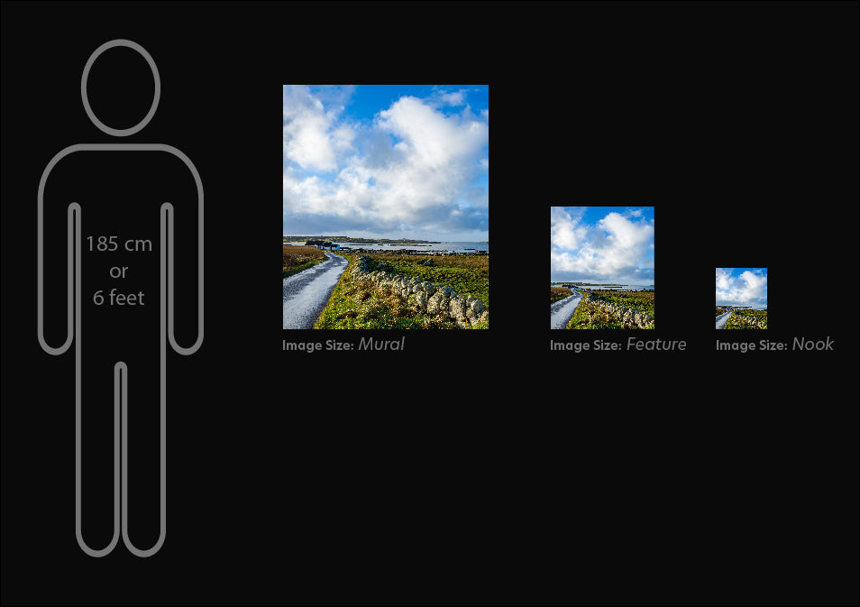 The different image sizes, Nook, Feature and Mural, shown to scale against a human figure. This comparison is for  