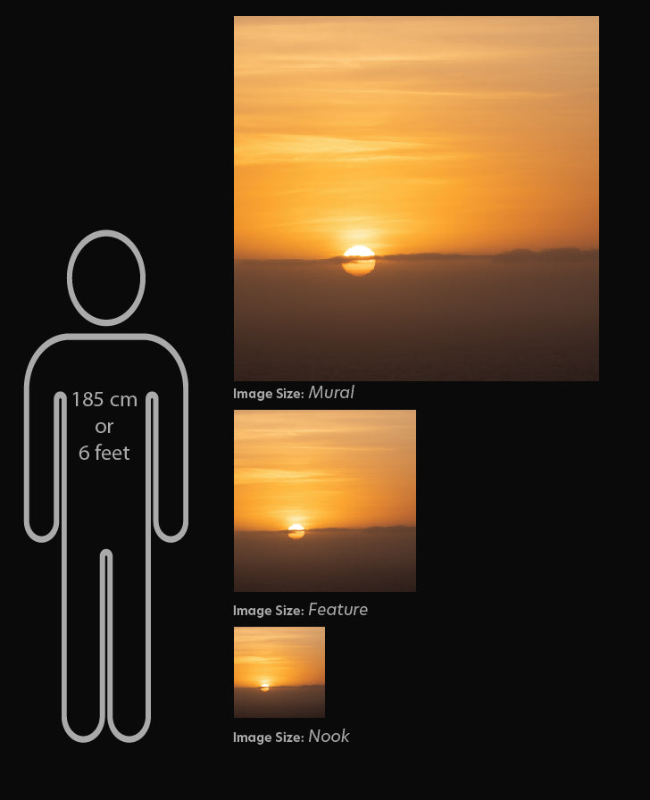 The different image sizes, Nook, Feature and Mural, shown to scale against a human figure. This comparison is for  