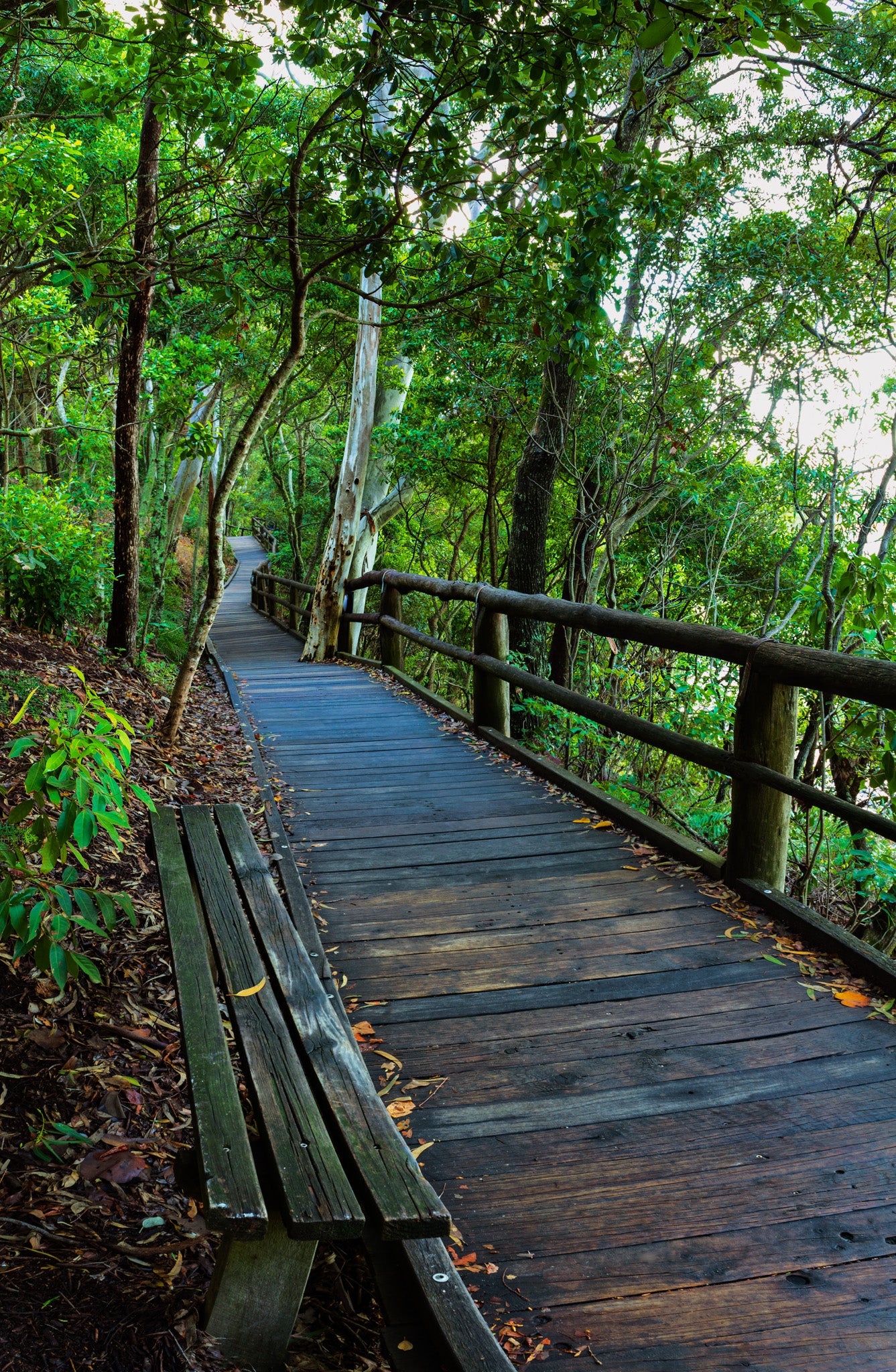 An image which captures the last day of the existence of the old walkway to Hellsgate at Noosa in Queensland, Australia.