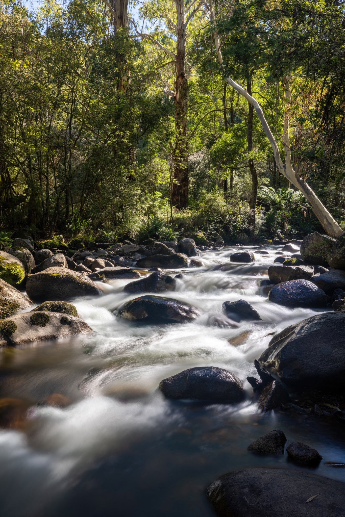 A beautiful mountain stream at the base of Mount Stirling is captured with this long exposure. Taken near Mount Bueller in Victoria, Australia.