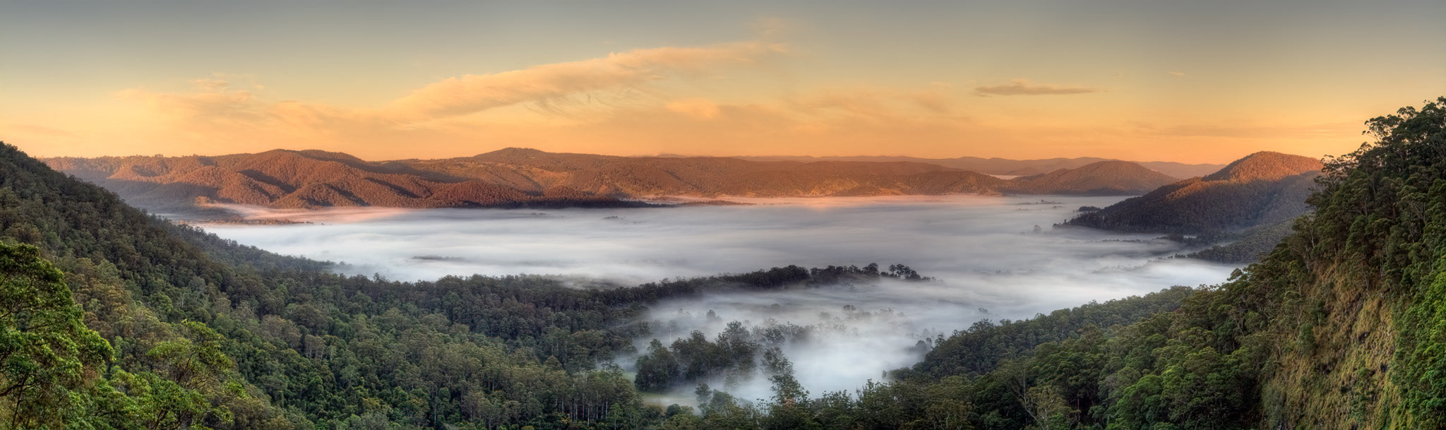 Warm early morning light touching the top of a misty inversion layer in the Obi Obi valley near Mapleton falls in Queensland, Australia.